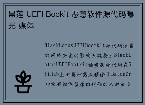 黑莲 UEFI Bookit 恶意软件源代码曝光 媒体