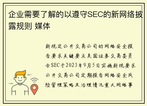 企业需要了解的以遵守SEC的新网络披露规则 媒体