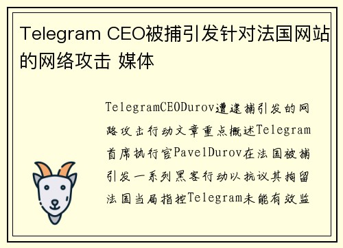 Telegram CEO被捕引发针对法国网站的网络攻击 媒体